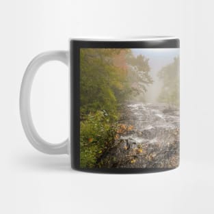 Top of the Falls Mug